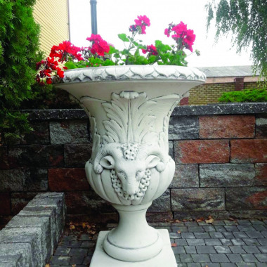 Чаша Капрікорніо