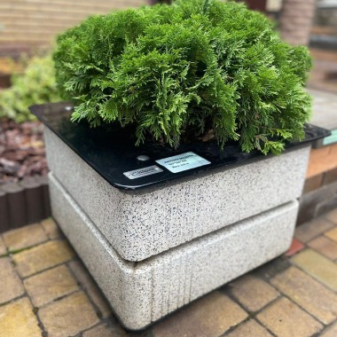 Квітник Модерн (вайт)