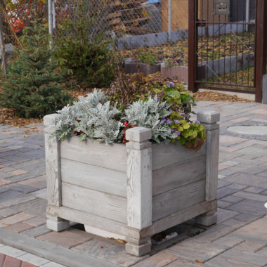 ЗОЛОТОЙ МАНДАРИН Цветочница Форест - Картинка 1