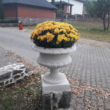 ЗОЛОТОЙ МАНДАРИН Чаша Треви - Картинка 1