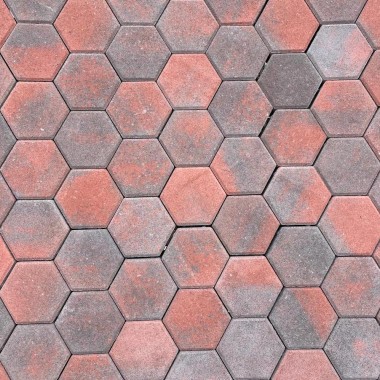 Сота Болонія 6см