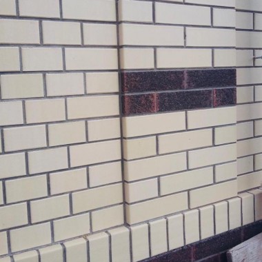 Жемчуг Пр1 (Керамейя)