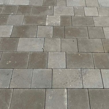 Симфонія(Брукланд) сіра